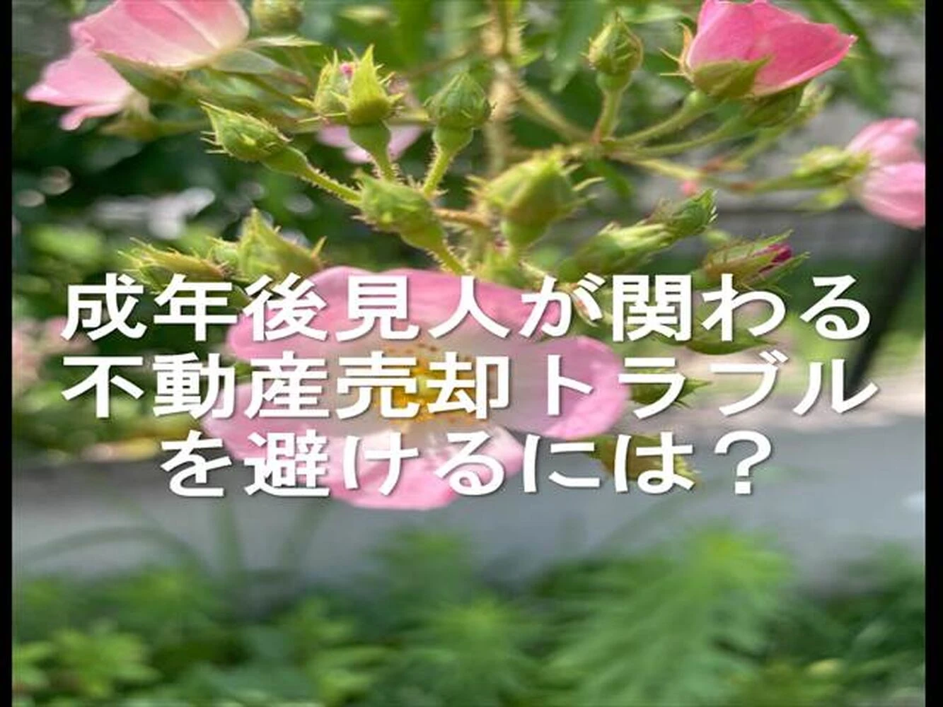 画像15835