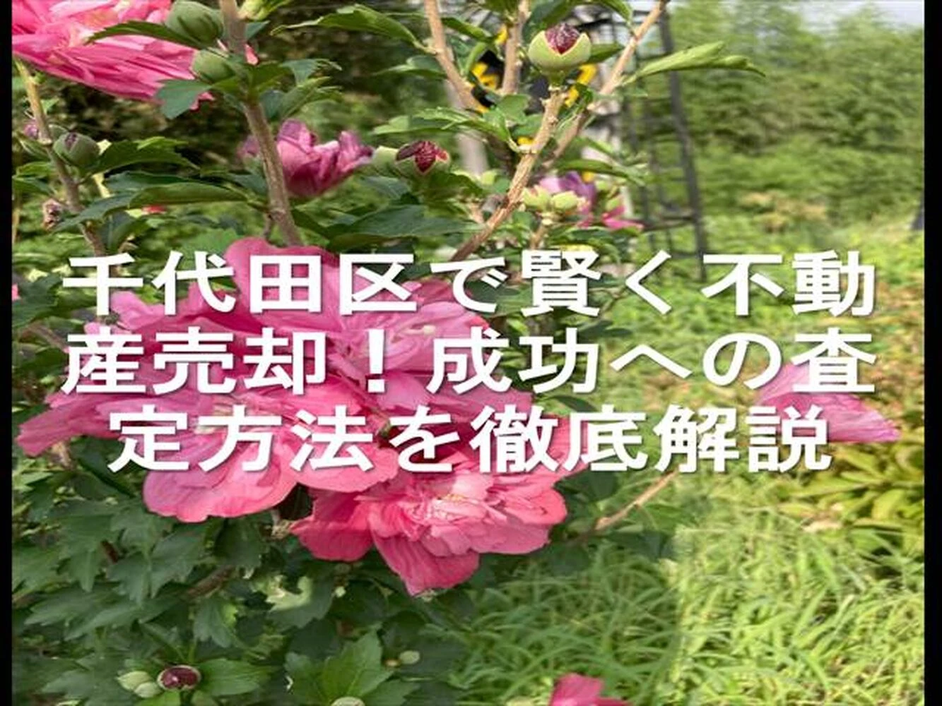 画像16159