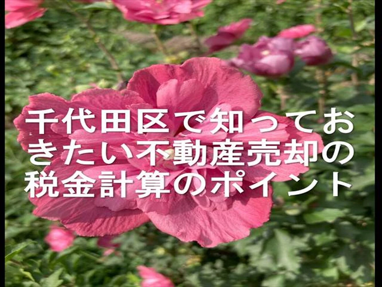 画像16222