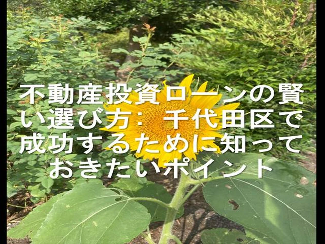 画像16279