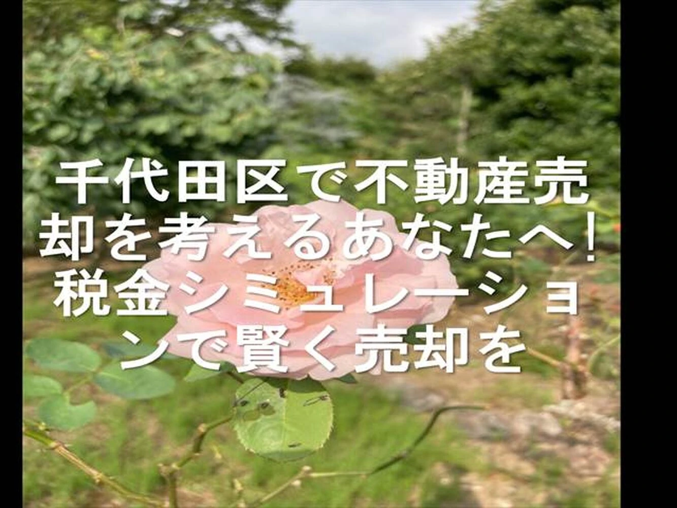 画像16369