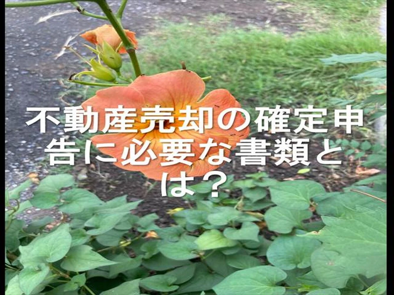 画像16396