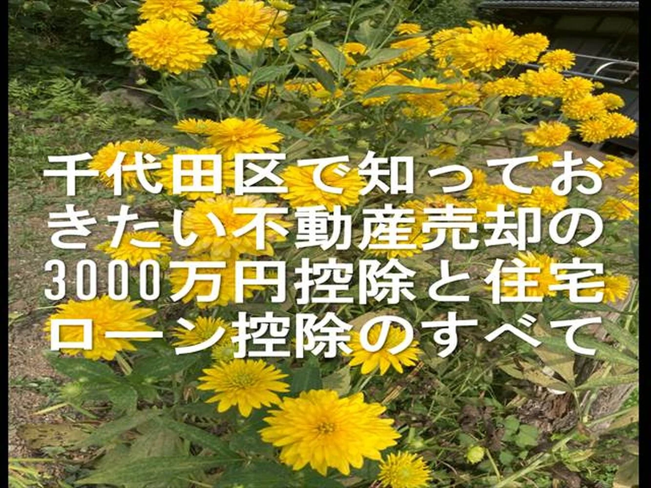 画像16628