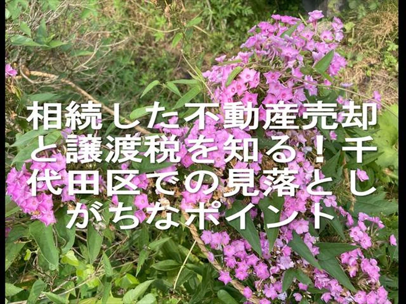 画像16629