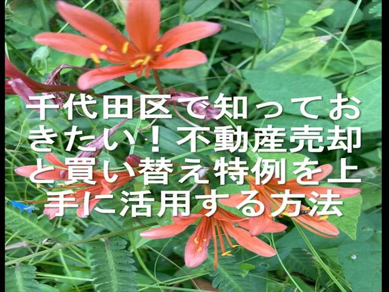 画像16685