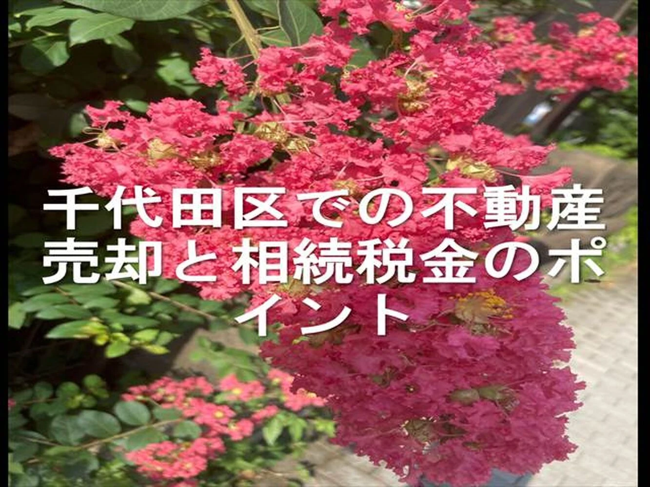 画像16722