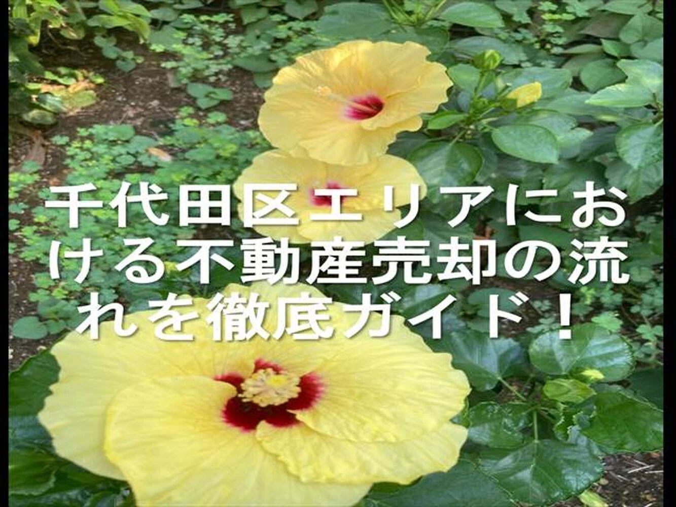 画像16996
