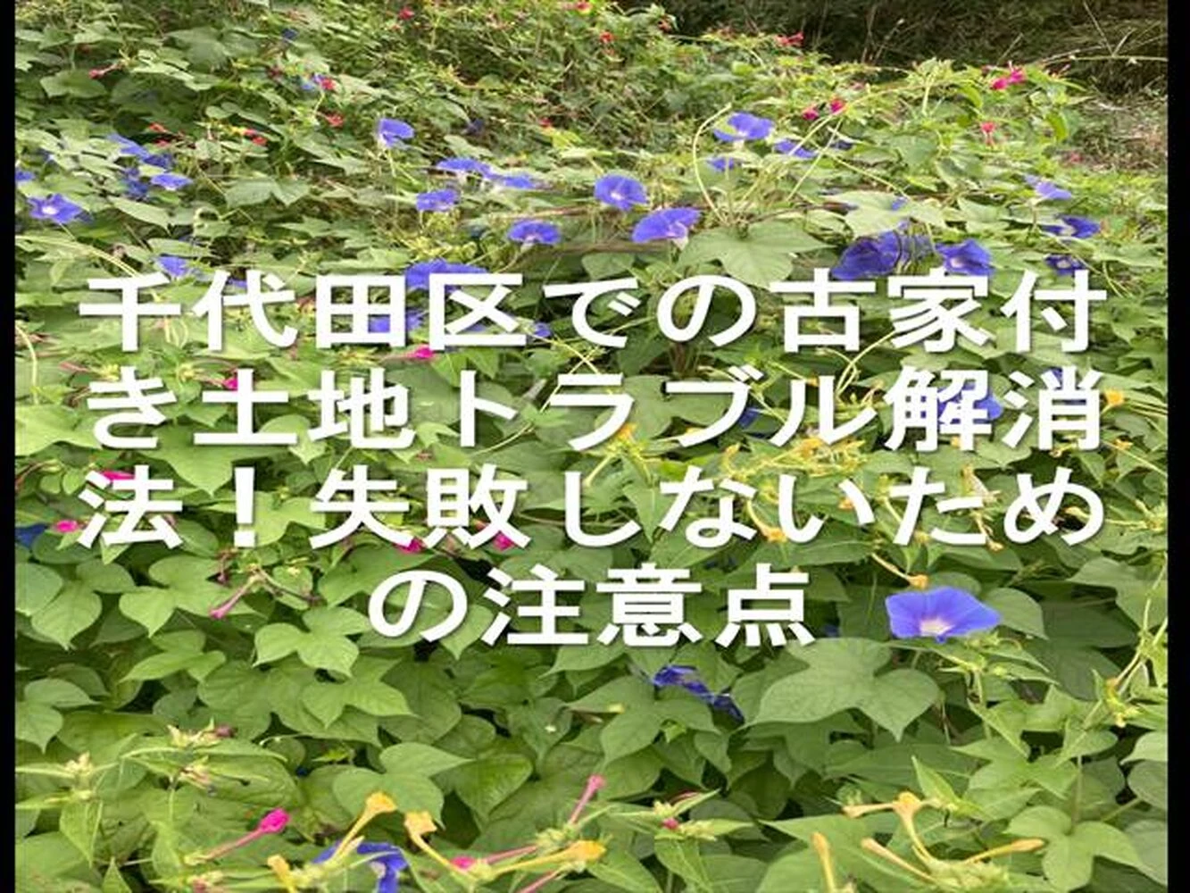 画像17037