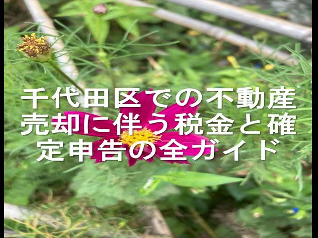 画像17078