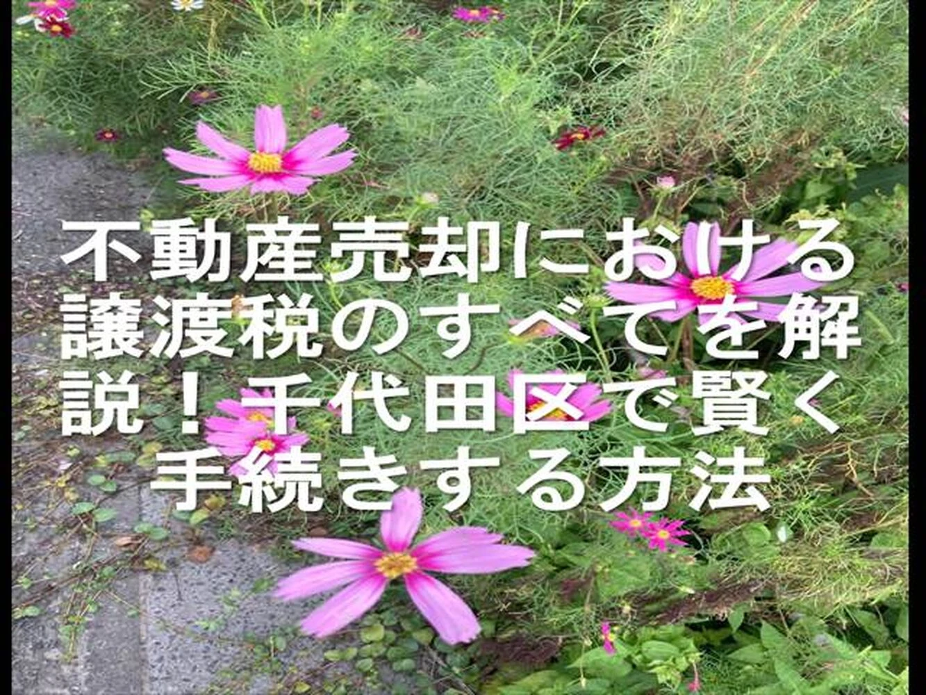 画像17147