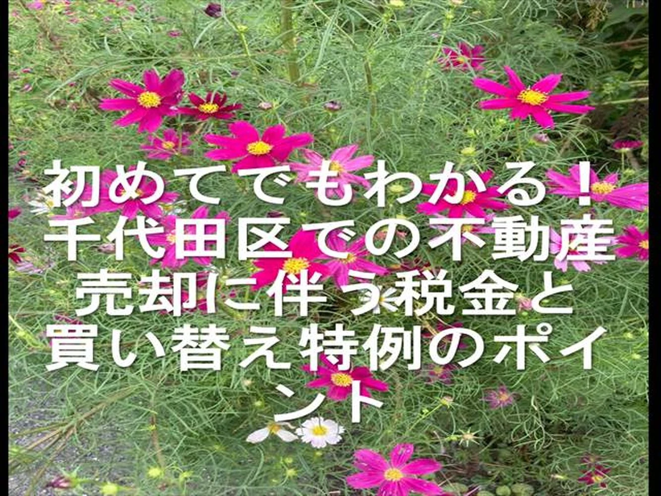 画像17156