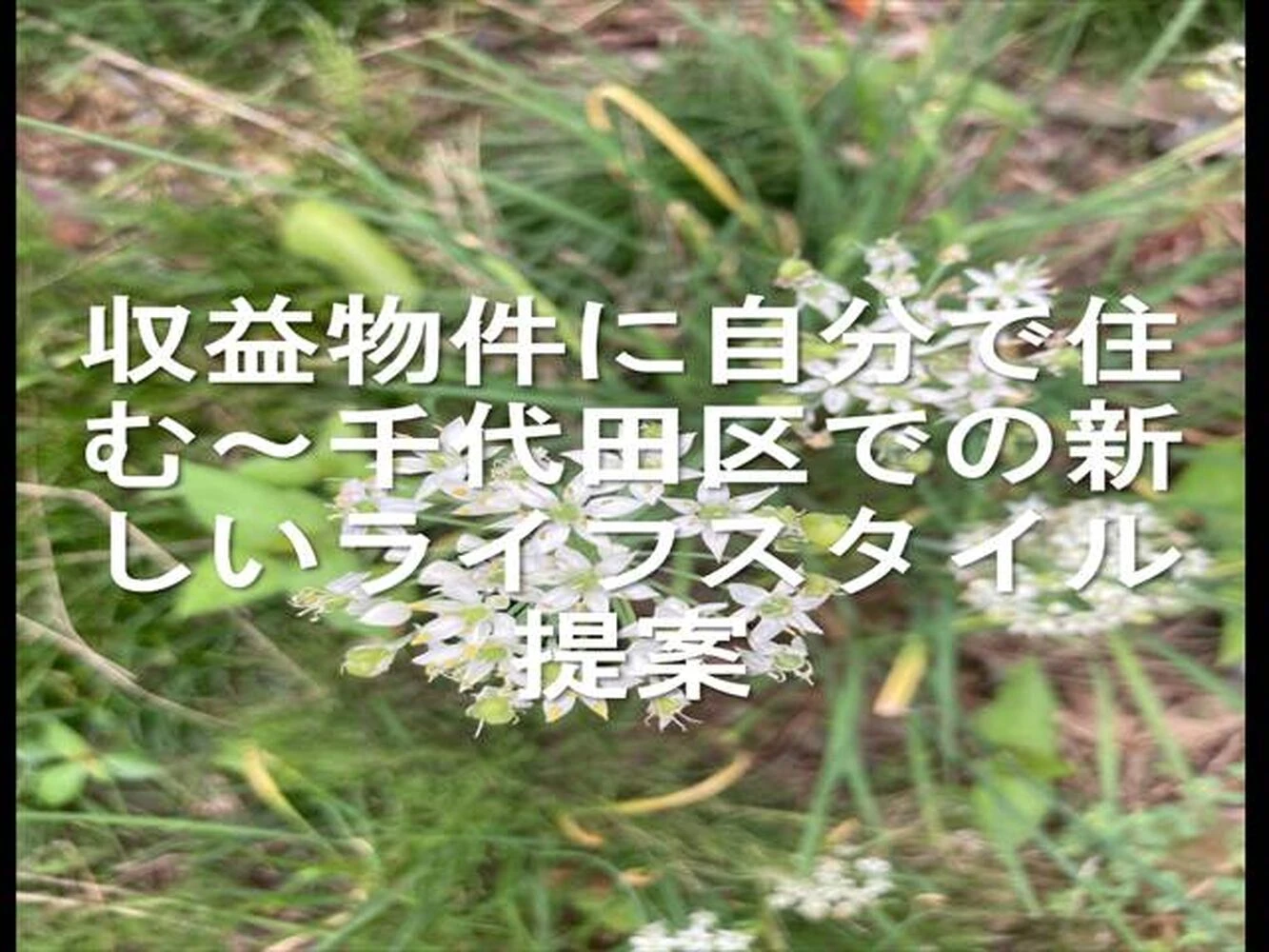 画像17165