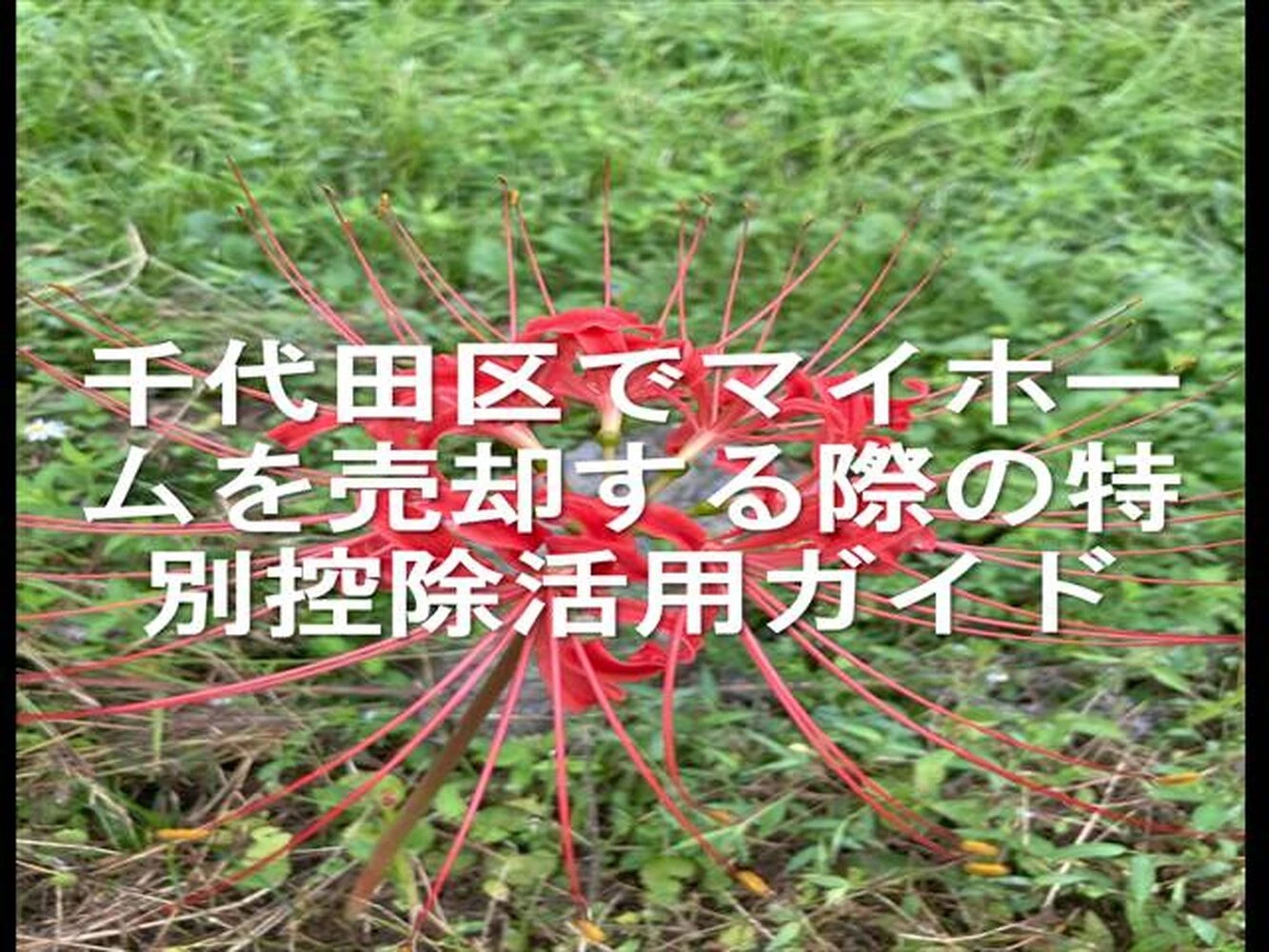 画像17174