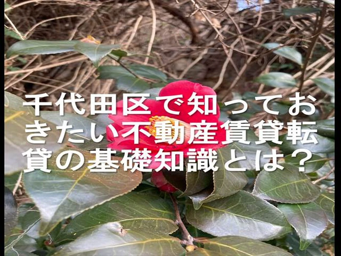 画像20072