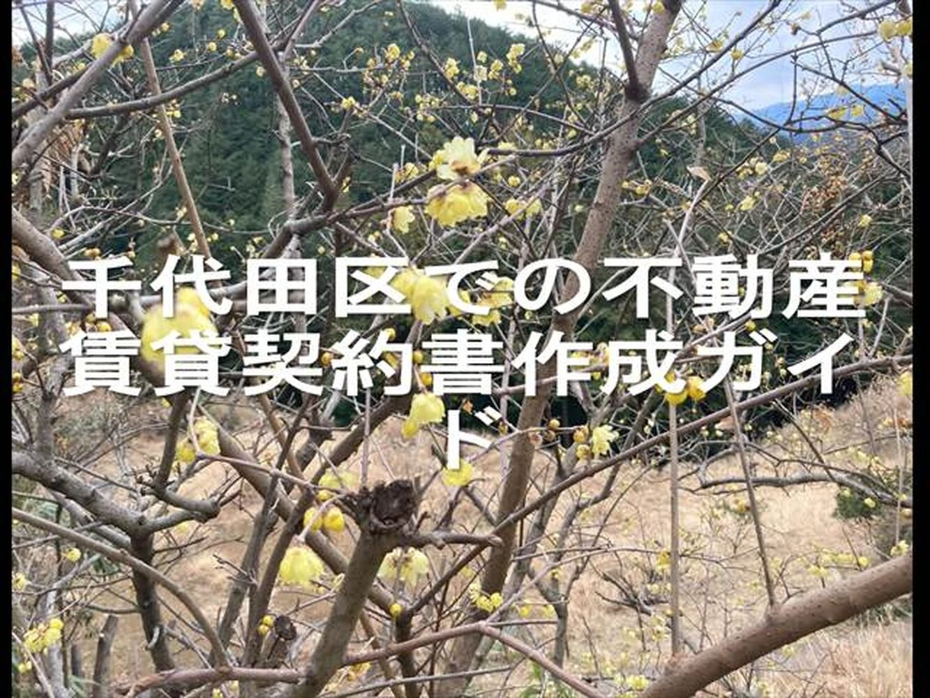 画像20090