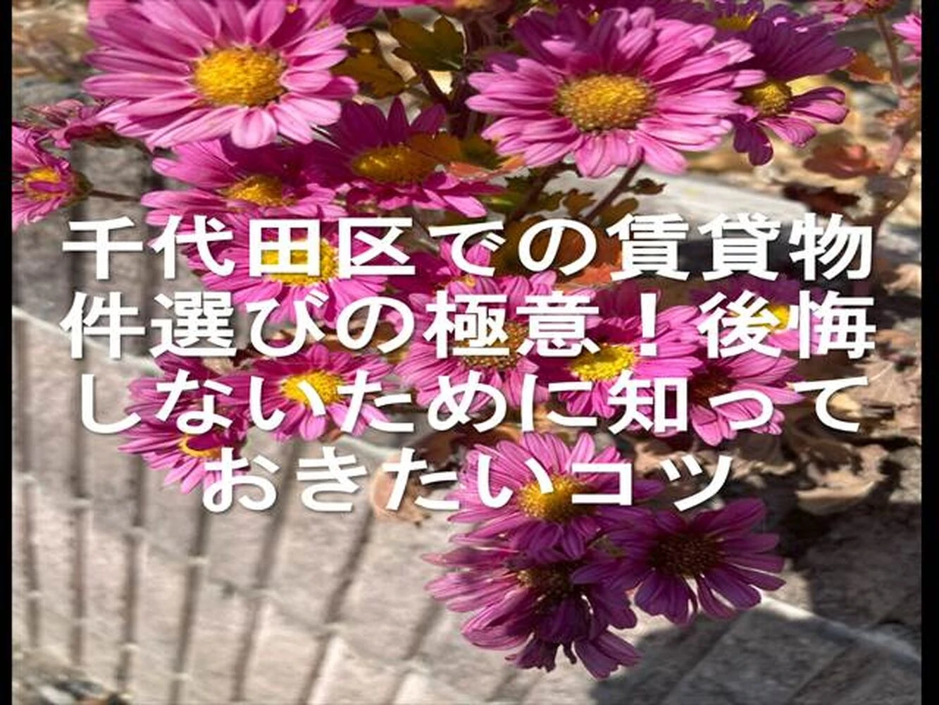 画像20122