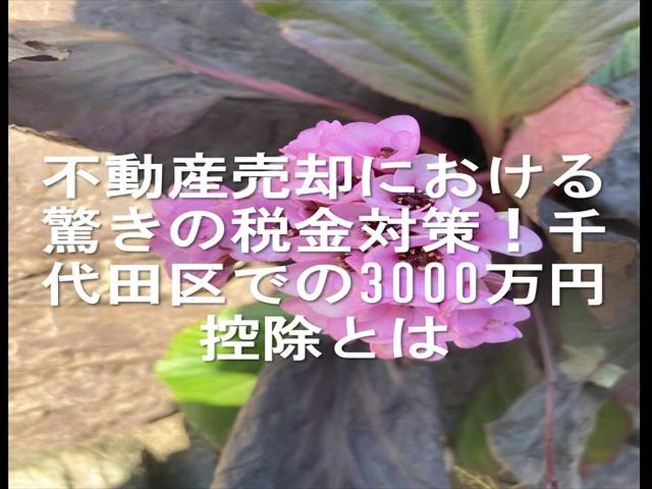 画像20132