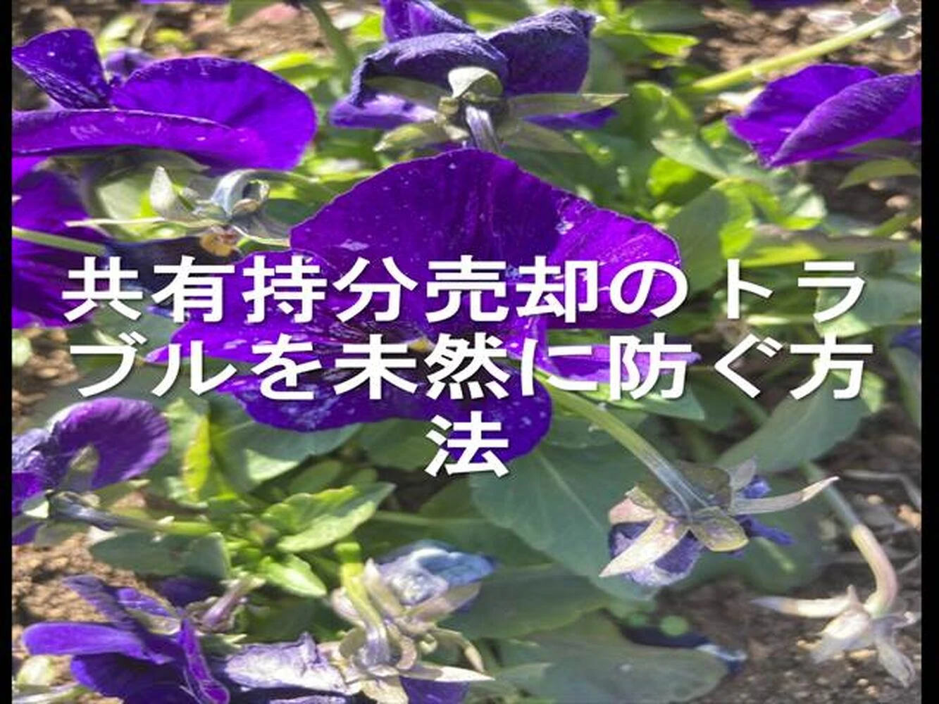 画像20171