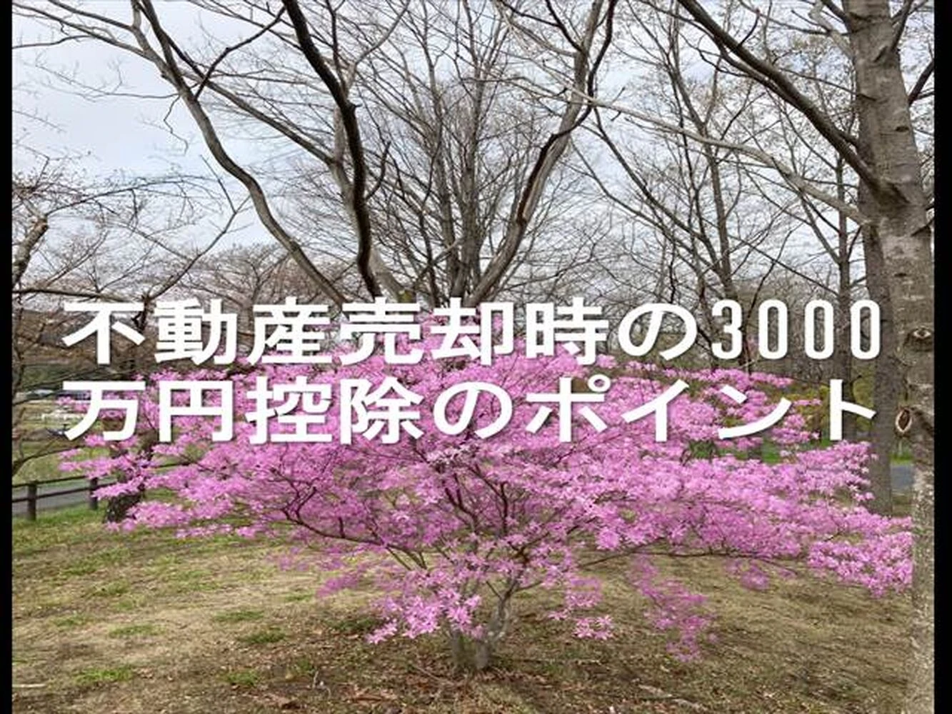 画像20669