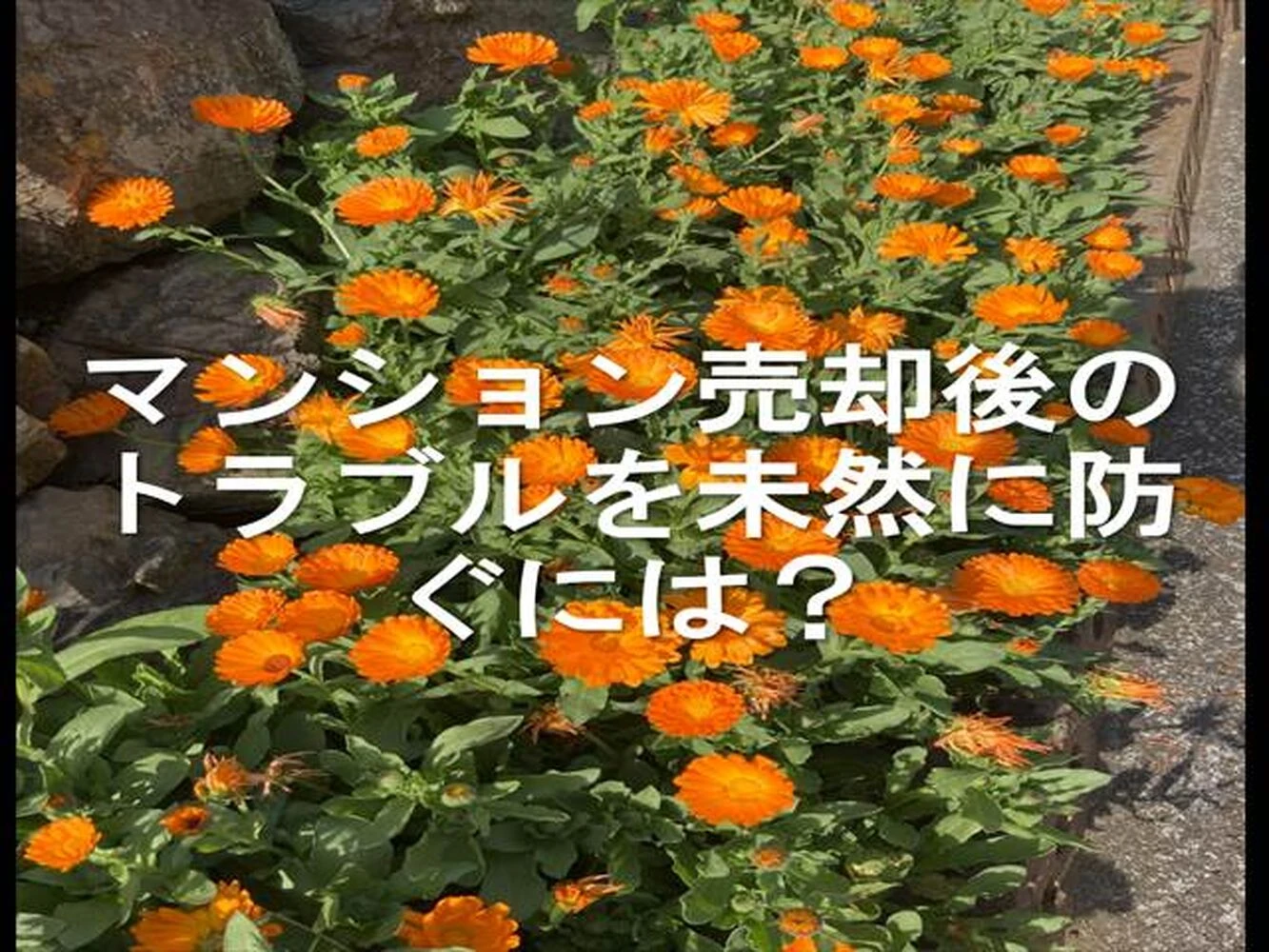 画像20714