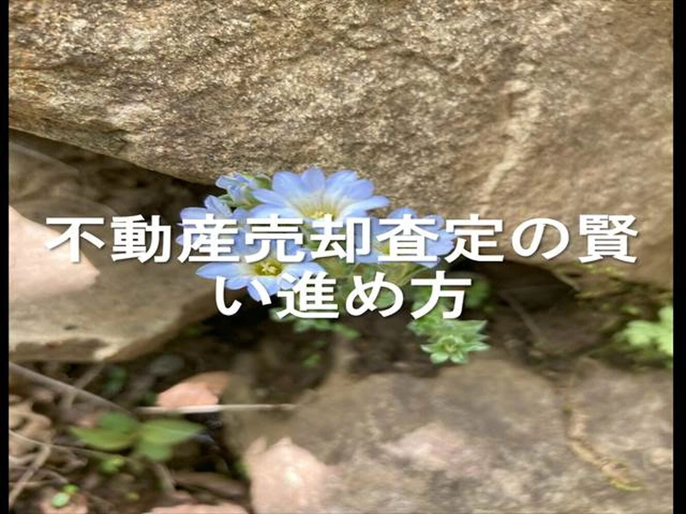 画像20723