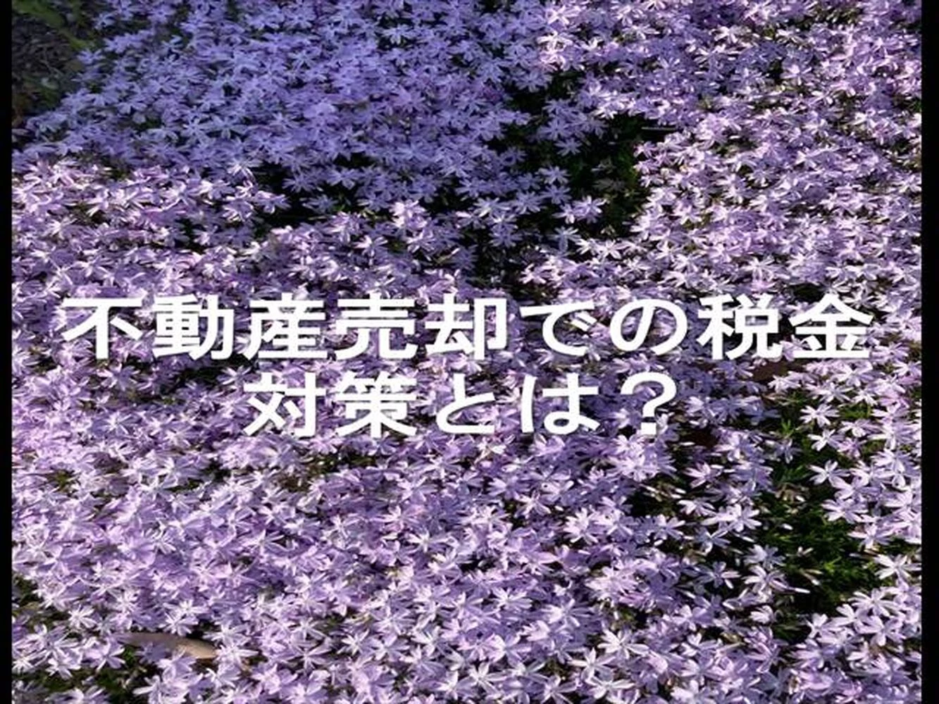 画像20774