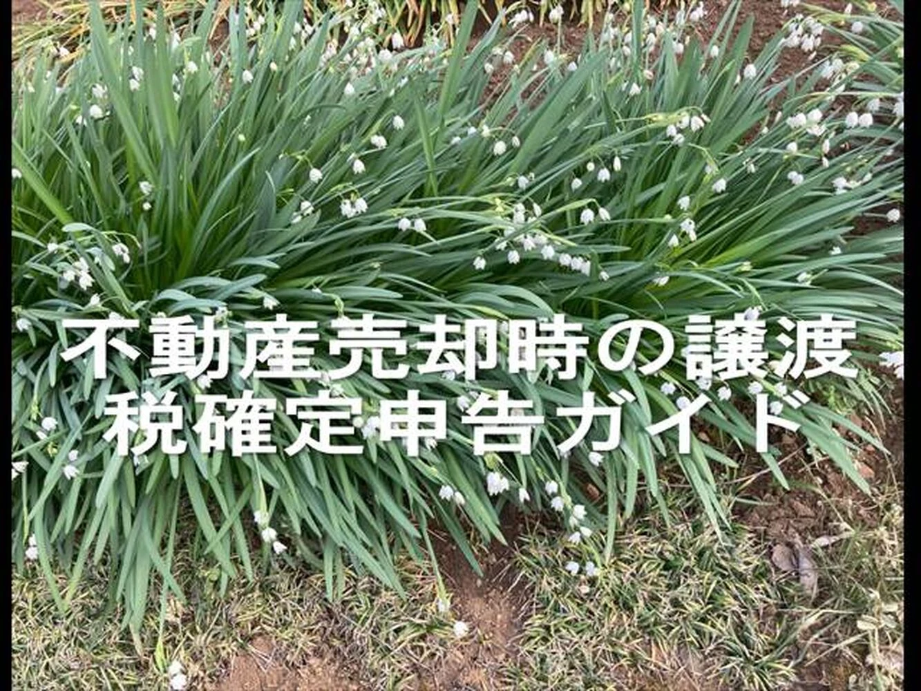 画像20807