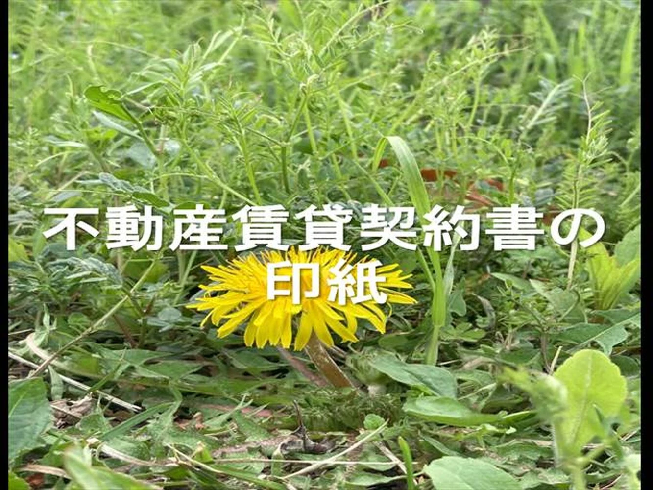 画像20808