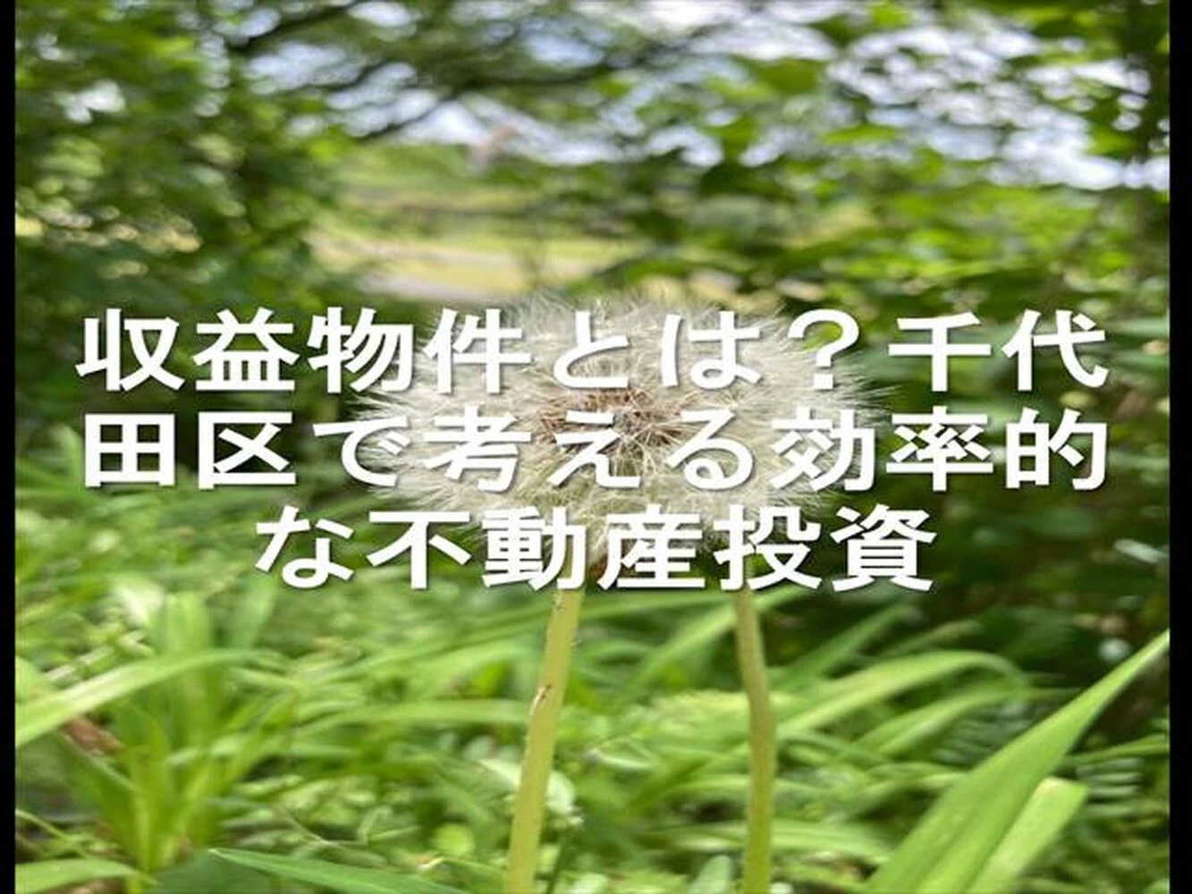 画像20825