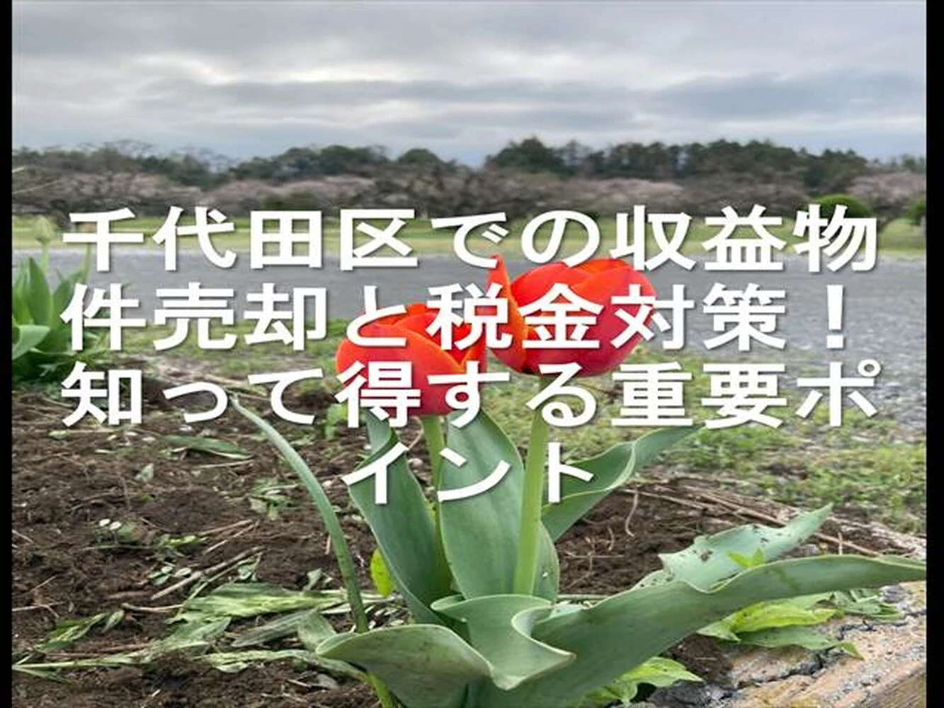 画像21323