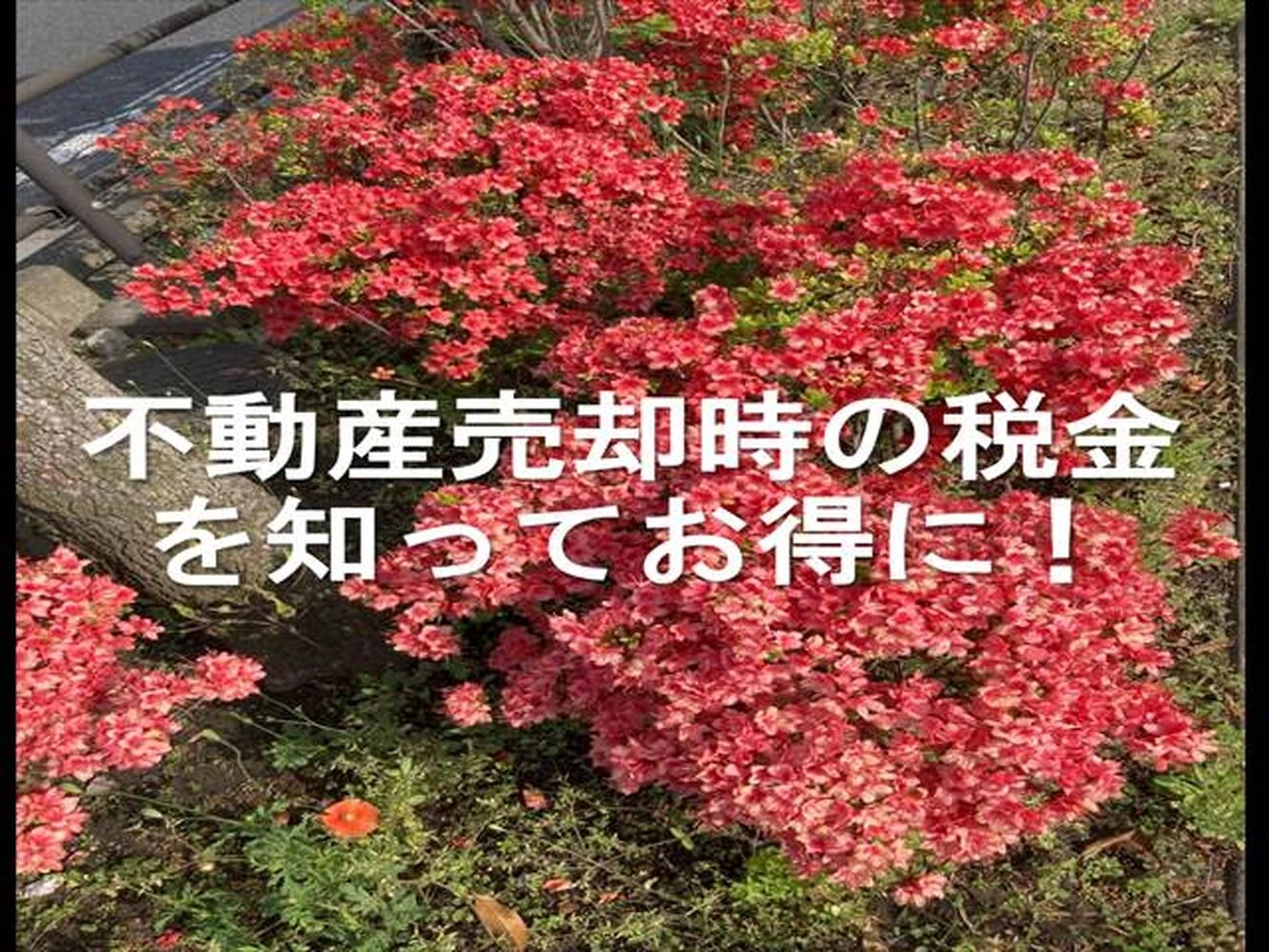 画像21332