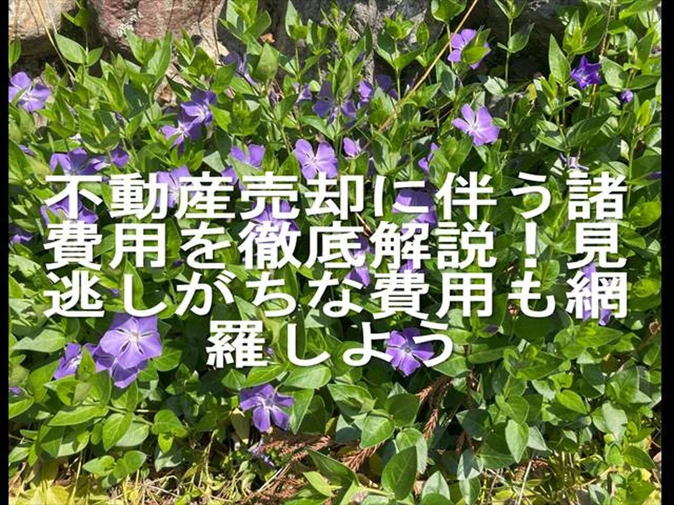 画像21497