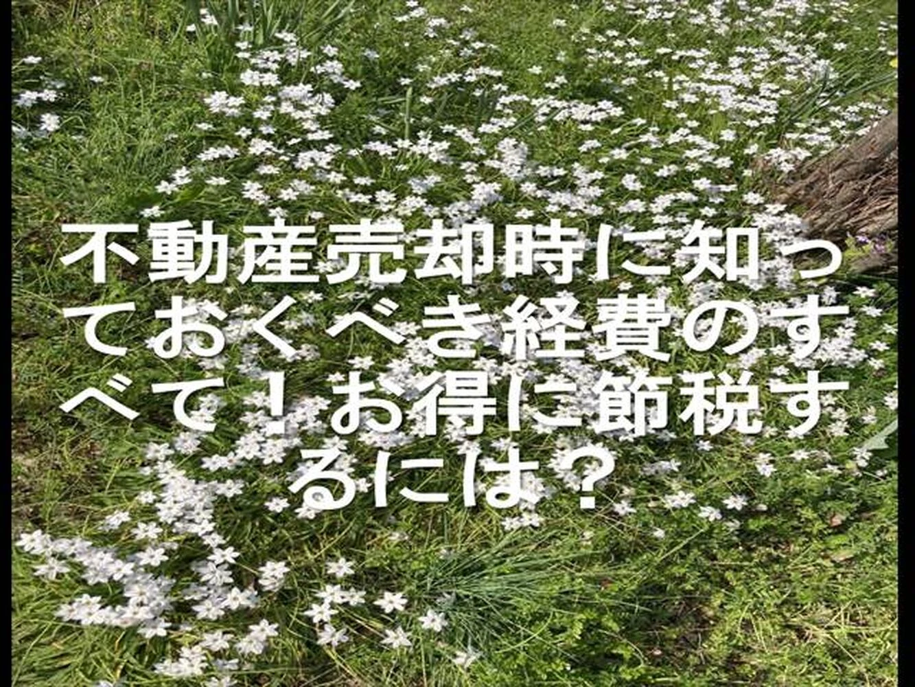 画像21577