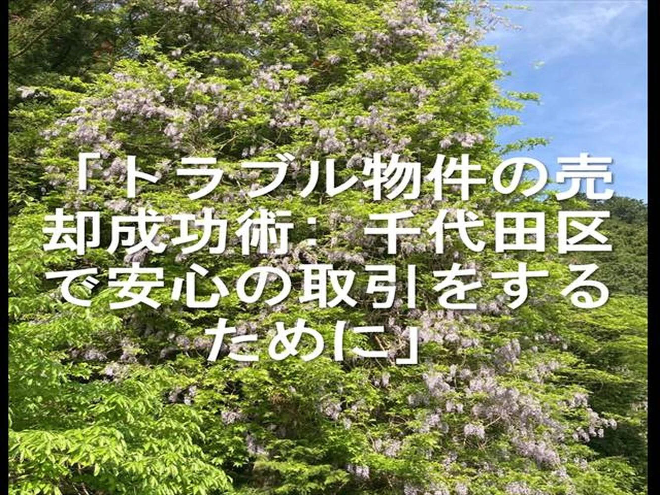 画像21981