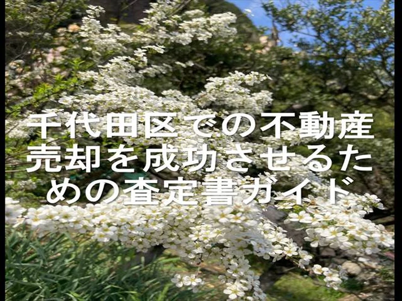 画像21990