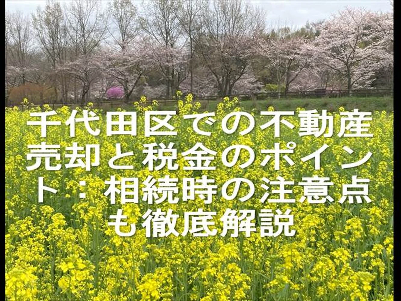 画像22023