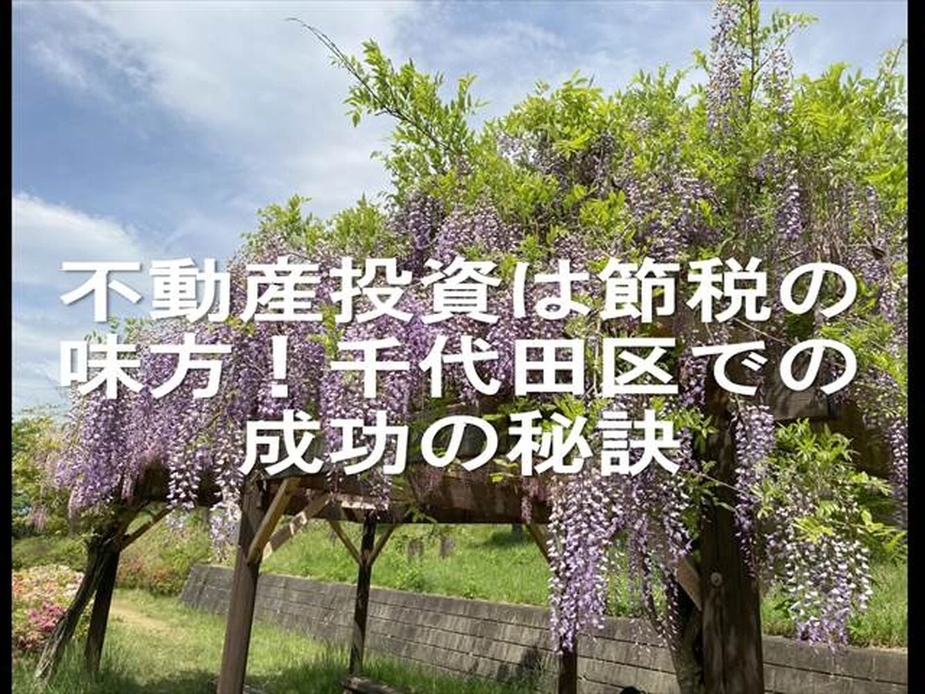 画像22024