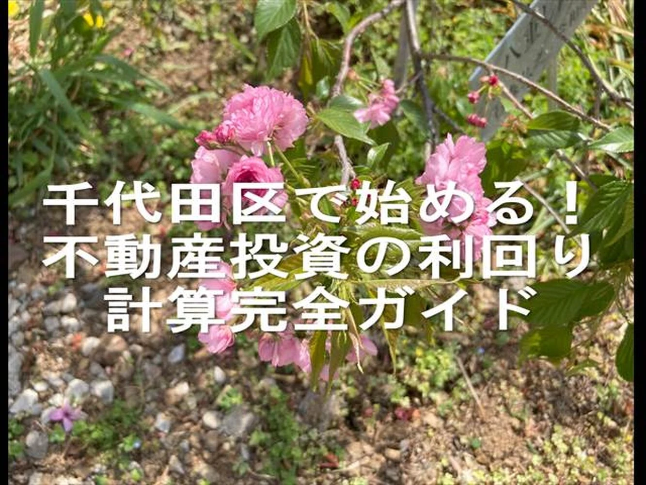 画像22033