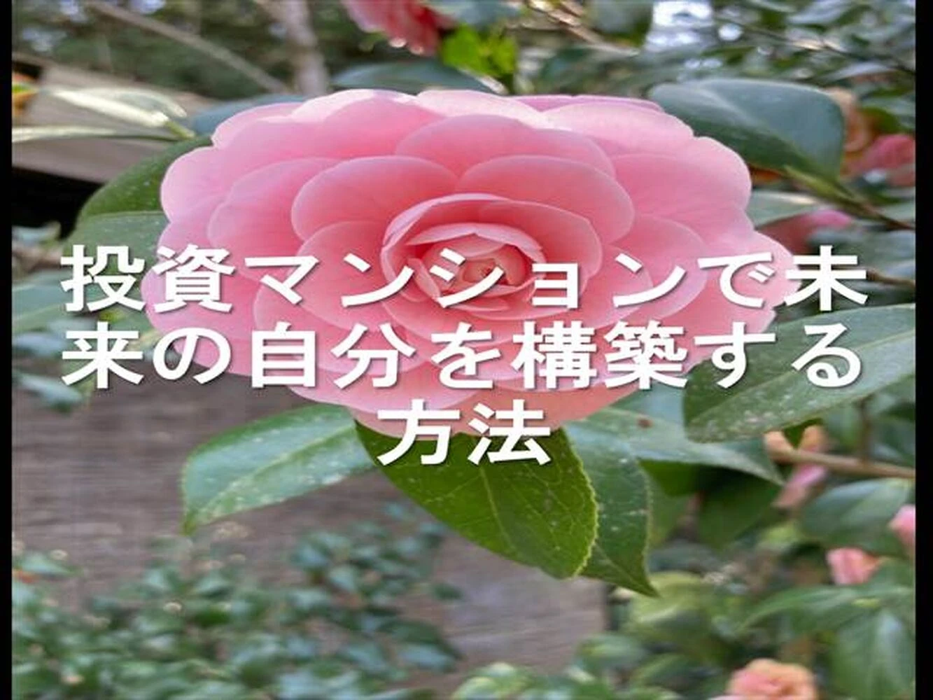 画像22228