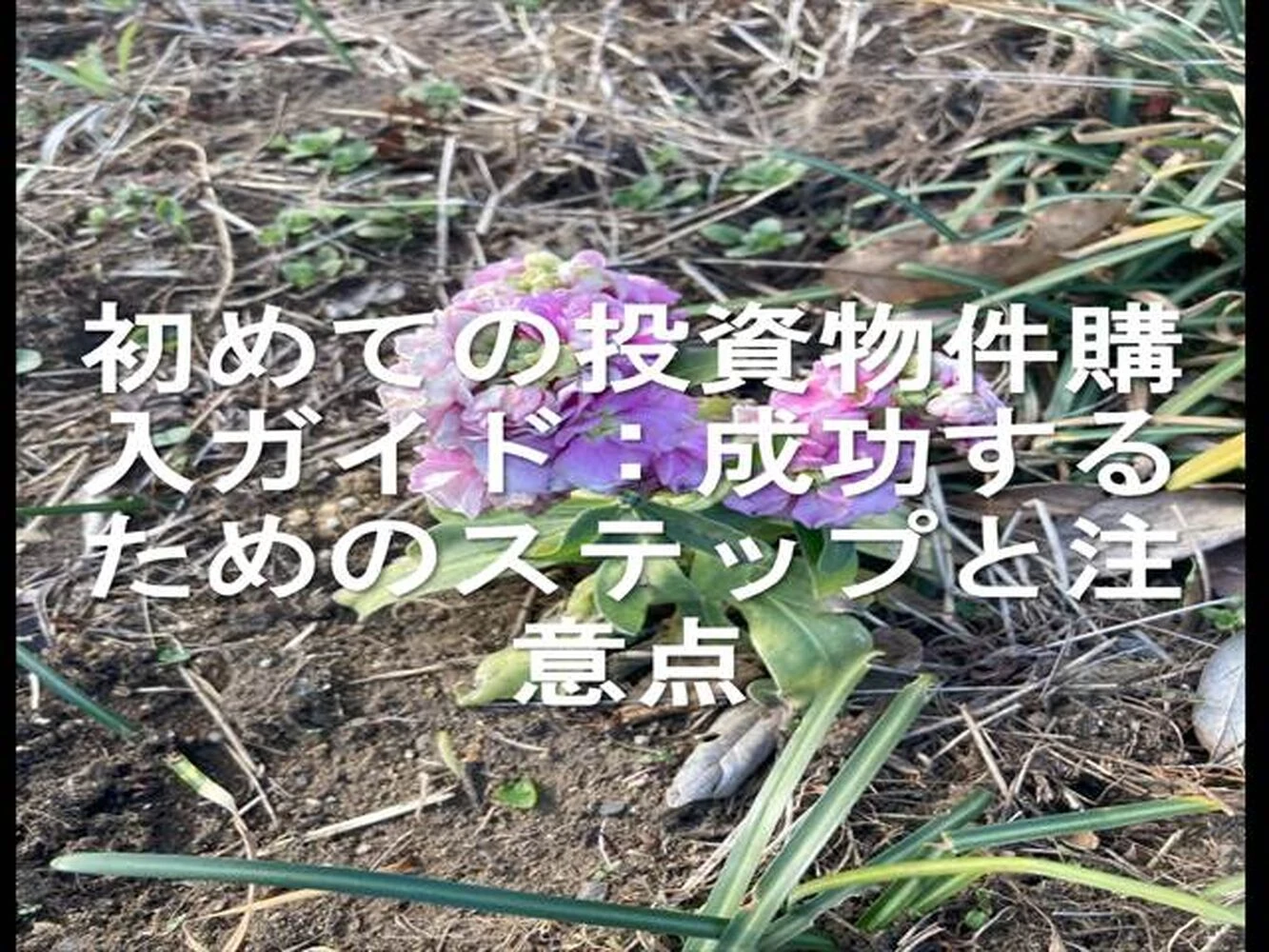 画像22696