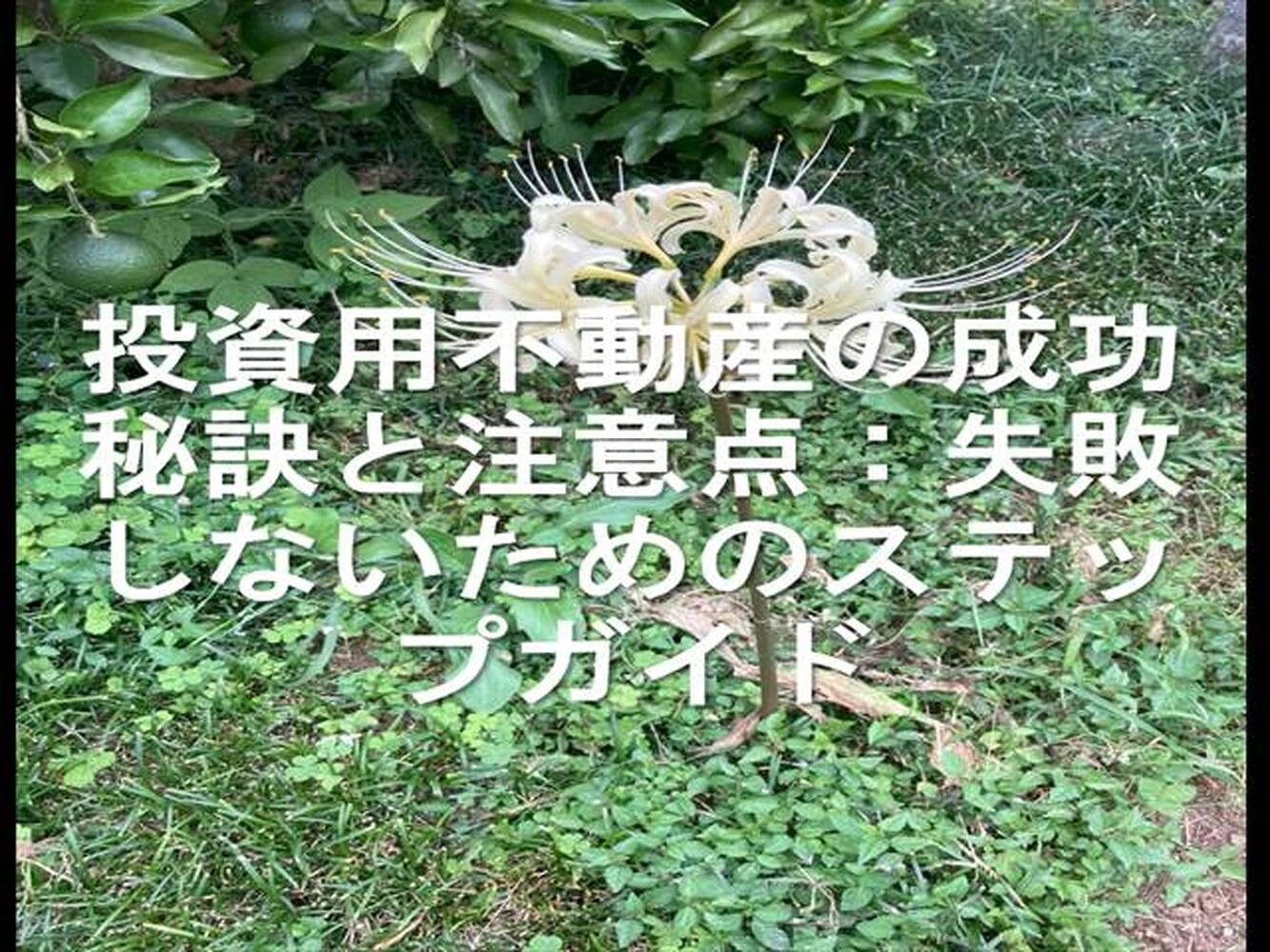 画像22705