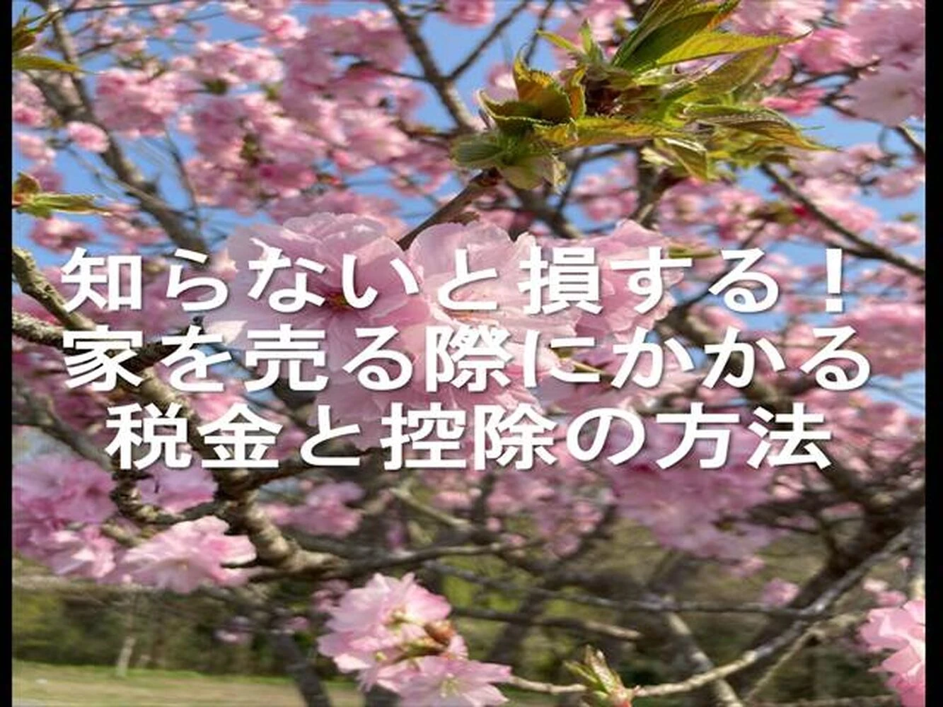 画像22972