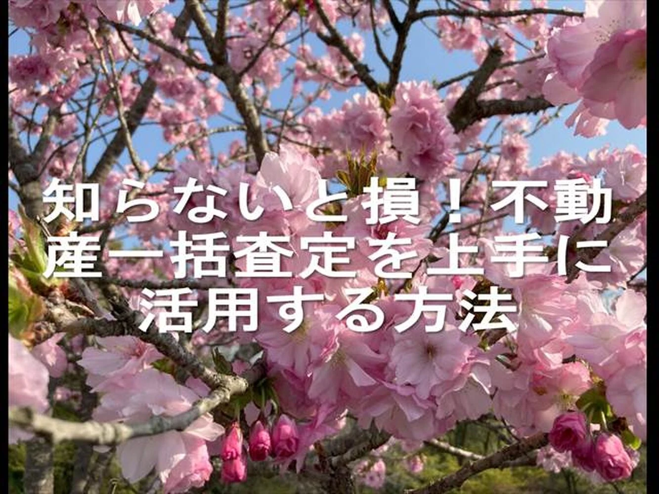 画像23011