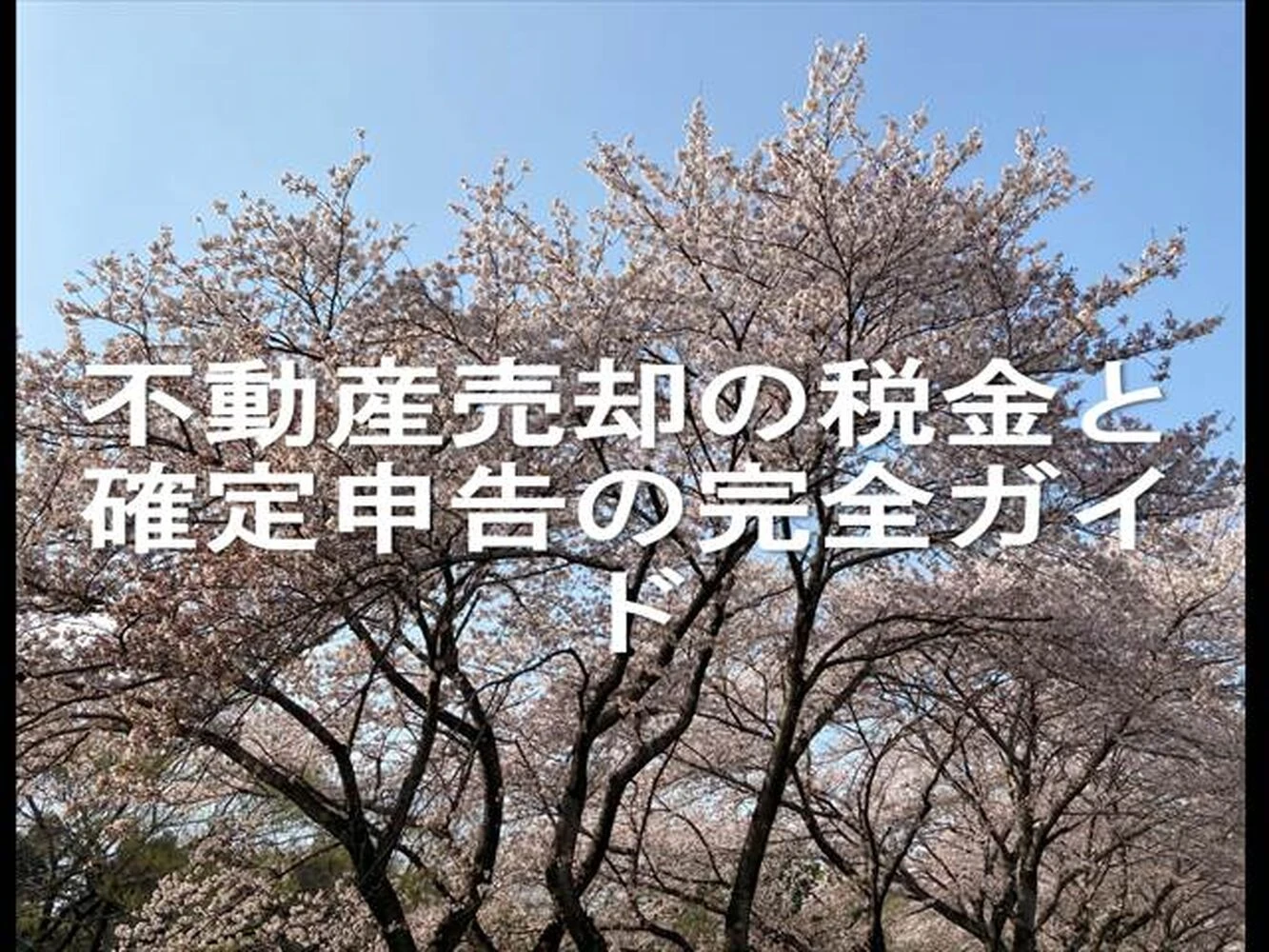 画像23079