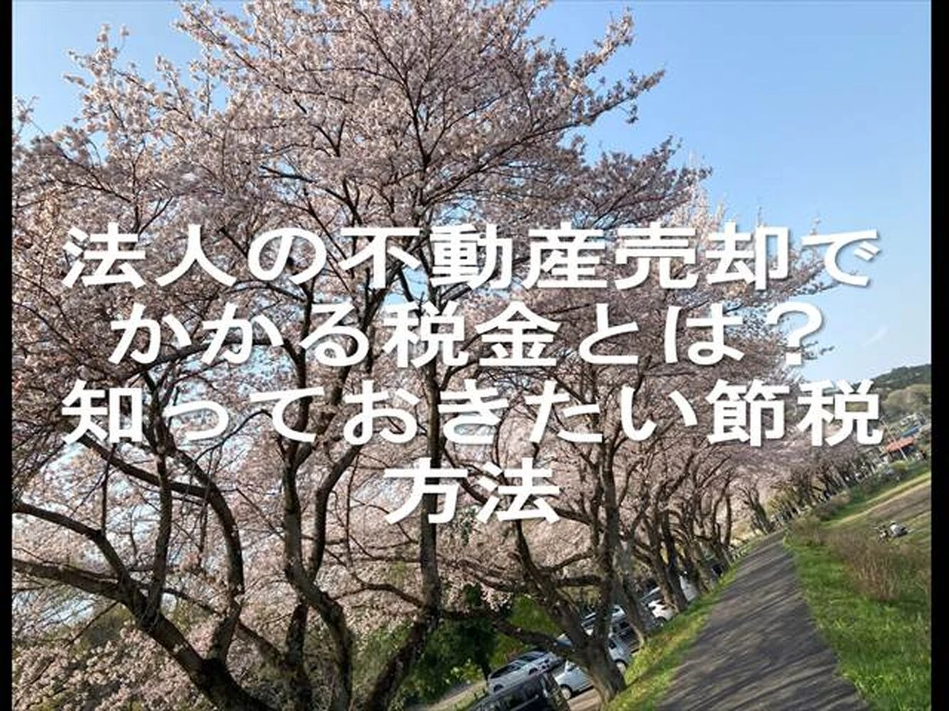 画像23188