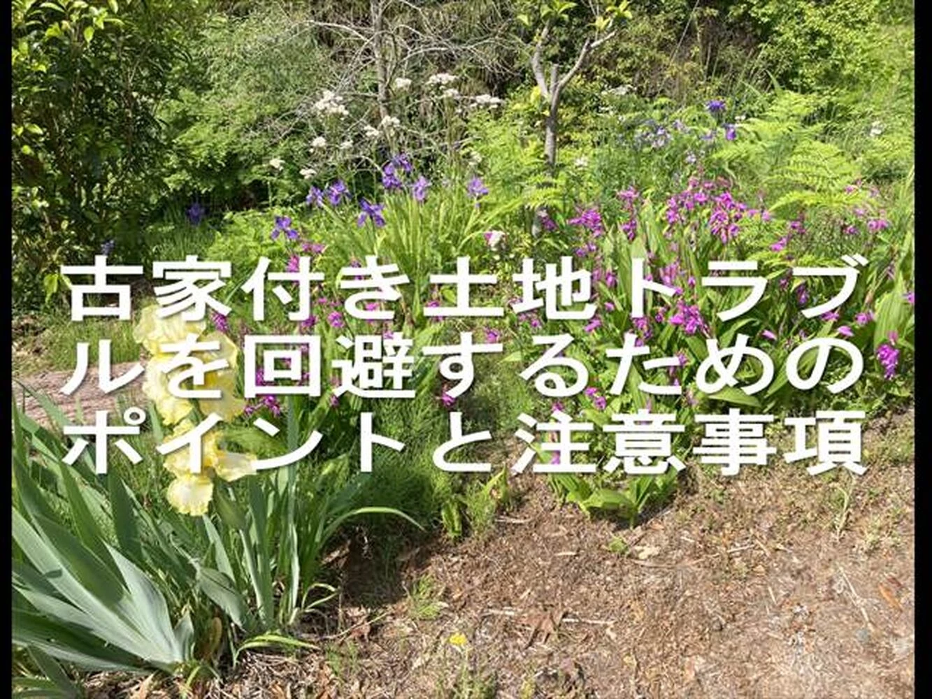 画像23221
