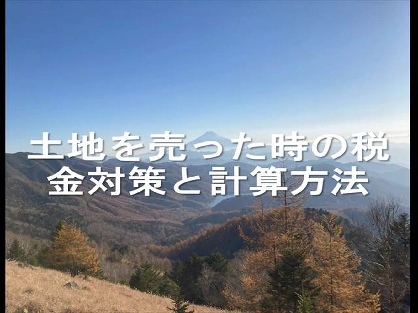 画像23558