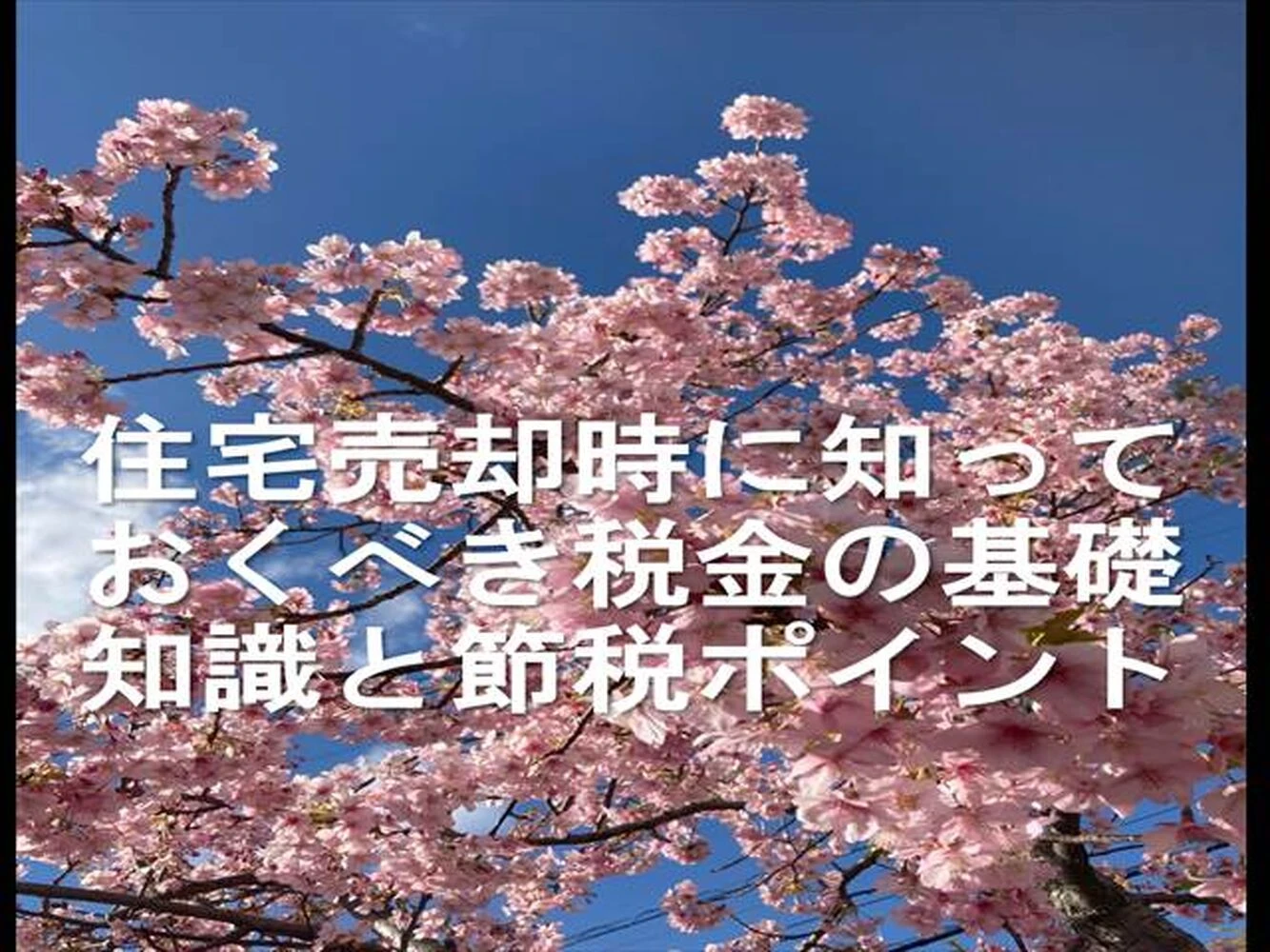 画像23645