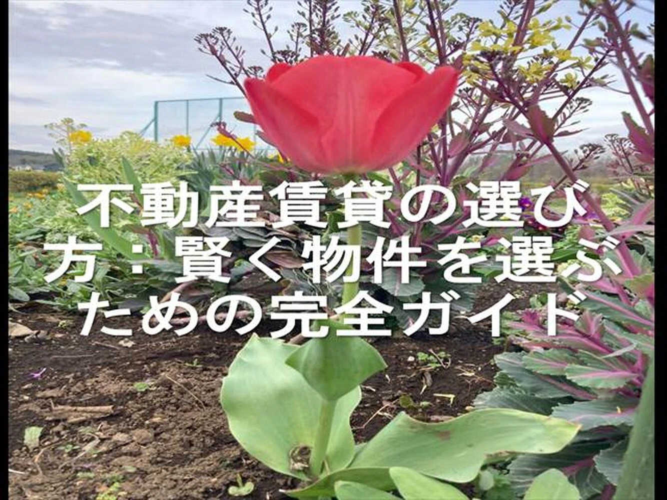 画像23670