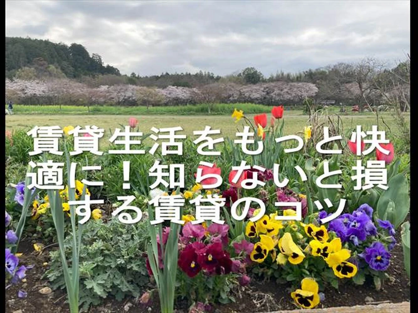 画像23679